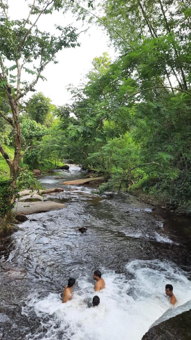 Wildglamps Athirappilly Hotel Ngoại thất bức ảnh