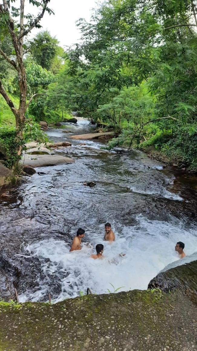 Wildglamps Athirappilly Hotel Ngoại thất bức ảnh
